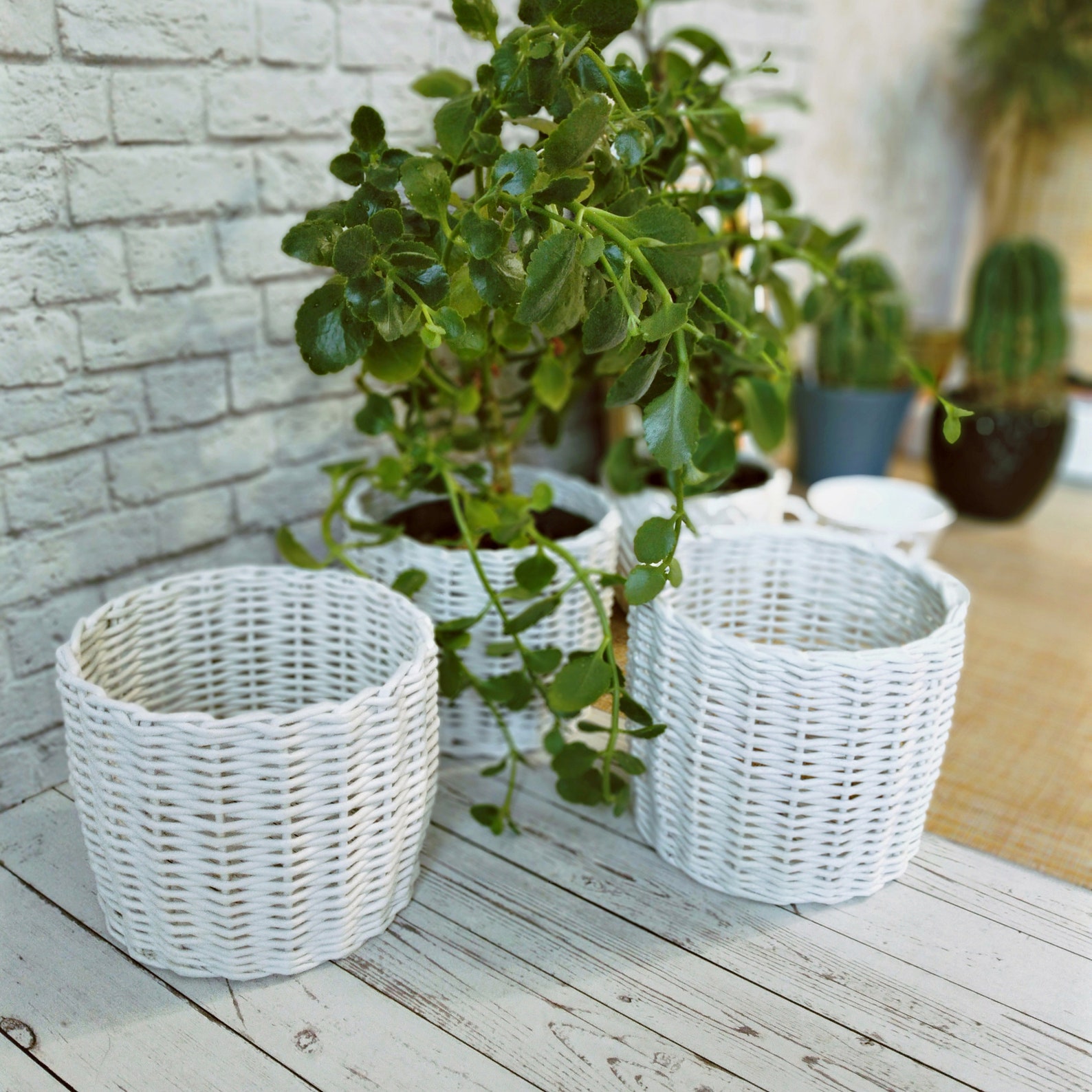 Unique planters for indoor plants without a bottom. A set Unique planters for indoor plants without a bottom. A set