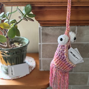 Yip-Yips, Crocheted, Made to Order