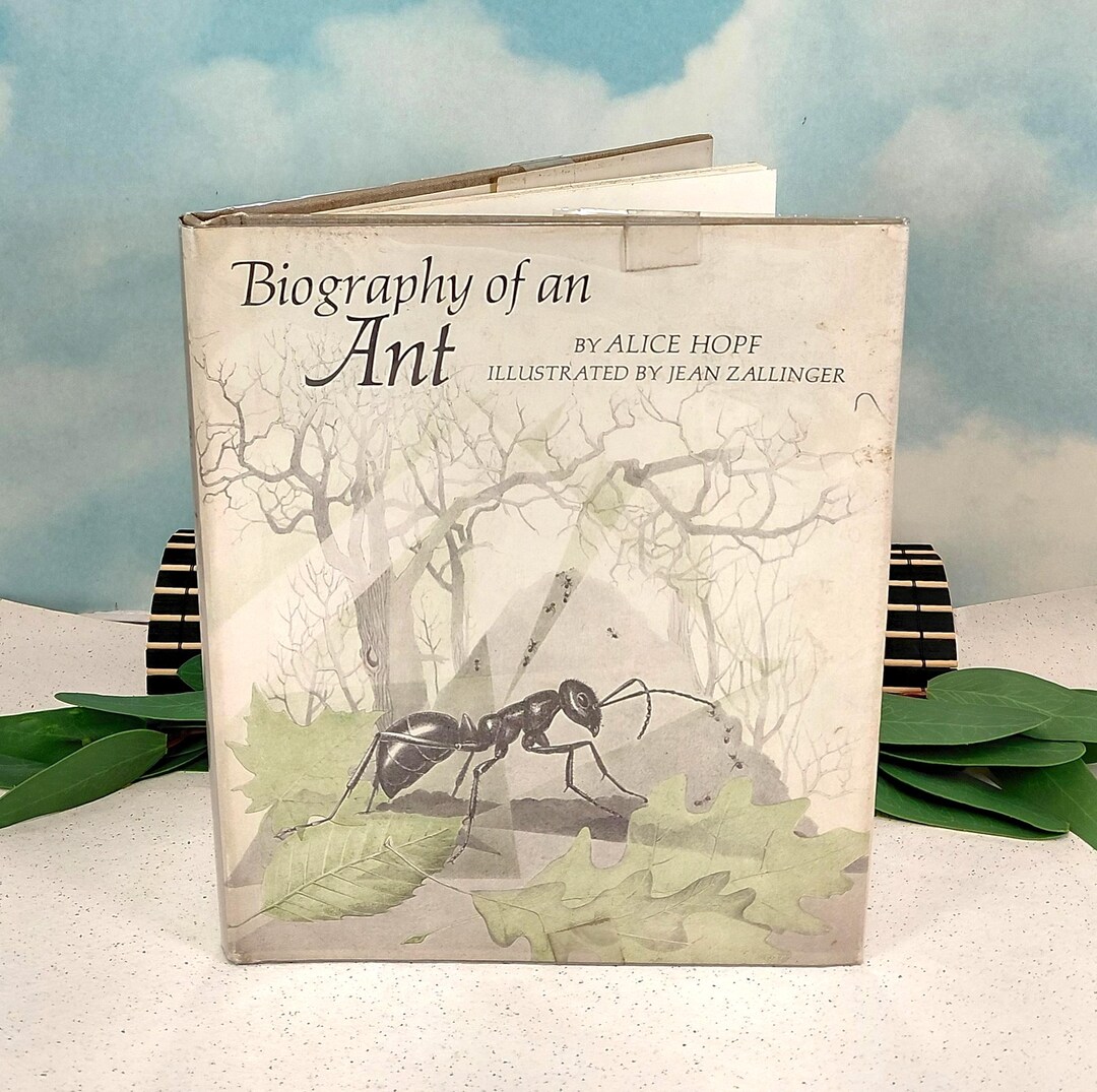 Biography of an Ant Vintage 1974 Children's Hardcover by Science and ...