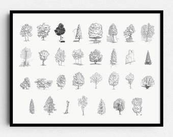 Trees of October - Series of Nature pen drawings
