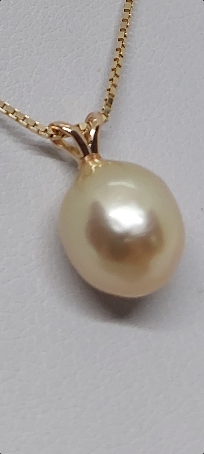 Golden South Sea 10x9mm Pearl 14K Yellow Gold Pendant. 14K Yellow Gold ...