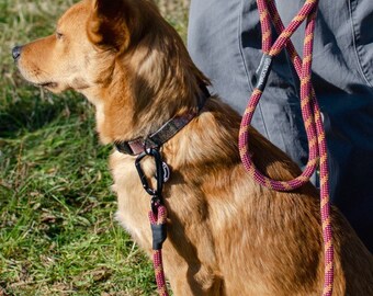 recycled climbing rope dog collar