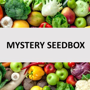 Può includere: Un assortimento colorato di prodotti freschi, tra cui mele rosse, lattuga verde, peperoni gialli e cavolo rosso, con il testo "MYSTERY SEEDBOX" visualizzato al centro.