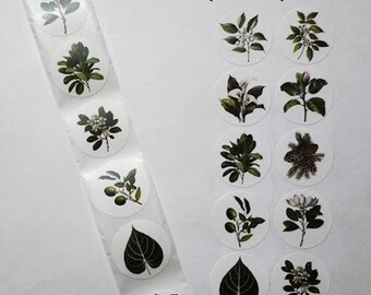 Green Plant Leaf Stickers – 10 Designs – 1 Inch – Botanical Plant Stickers for Gifts and Decoration