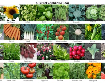 Kitchen yard seeds set XXL | complete set for the vegetable garden!