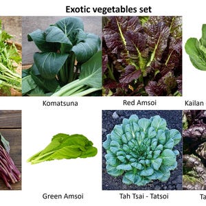 Exotische groenten zaden set | 8 verschillende soorten exotische groenten!