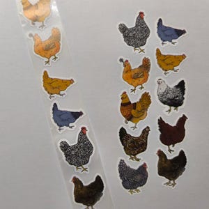 Op de afbeelding: Een vel stickers met verschillende illustraties van kippen in verschillende kleuren en patronen. De kippen staan in verschillende poses, sommige met bloemen in hun bek.