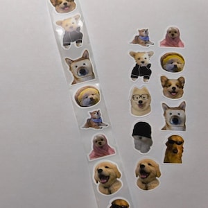 Op de afbeelding: Een verzameling hondenstickers in verschillende poses en outfits. De stickers tonen verschillende rassen, waaronder een hond met een zonnebril, een hond in een pak en een hond met een sjaal.