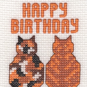 Kit personnalisé de carte d’anniversaire cross Stitch
