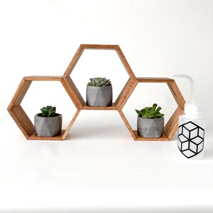 May include: Three small succulent plants in concrete pots are displayed on a wooden hexagonal shelf unit. A clear plastic watering bottle with a black geometric design is on the right side of the image.