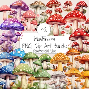 Mushroom Clipart Pack | 45 High Quality PNG Clip Art File Bundle | Toadstool PNG, Fungi Clipart