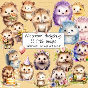 Pack de cliparts hérisson aquarelle | Lot de 33 fichiers clipart PNG de haute qualité | Anniversaire hérisson | Pépinière Hérisson