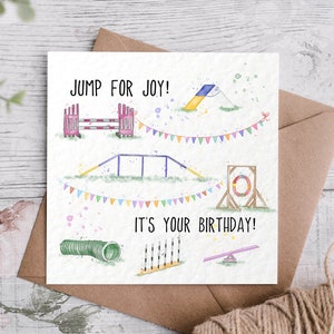 Dog agility gifts hotsell