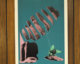 Fly Guy 4 Color Screen Printed Poster