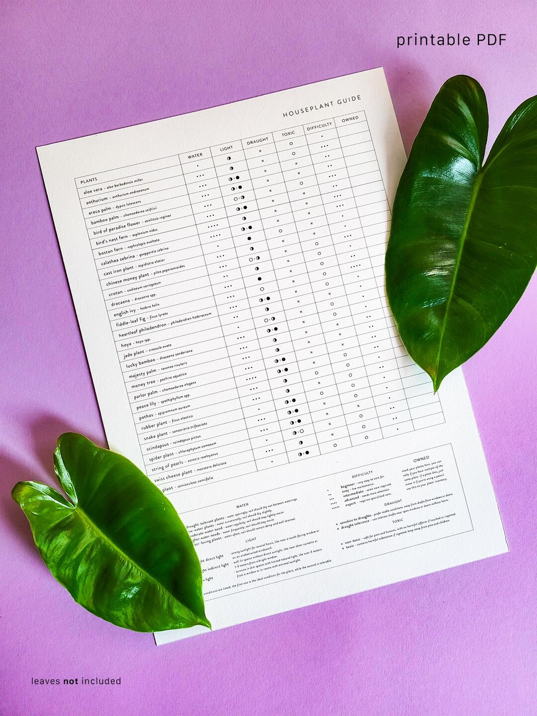 Houseplant Guide | Indoor Plant Checklist With Water, Light, Draft ...