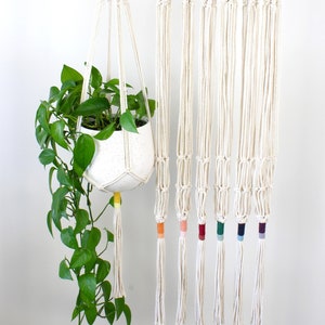May include: Eight macrame plant hangers with wooden rings and colourful tassels hanging from a white rod. One hanger is holding a potted plant.