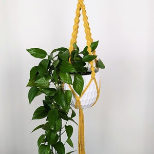 May include: A yellow macrame plant hanger with a wooden ring at the top and a white ceramic pot with a plant hanging from it.