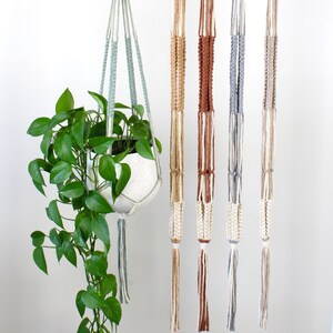 Peut inclure: Cinq suspensions de plantes en macramé de différentes couleurs, suspendues à une barre blanche. Les suspensions sont faites de cordon de coton naturel et ont un anneau en bois en haut. Une suspension a une plante verte dans un pot blanc.
