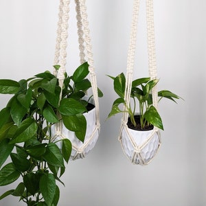 Peut inclure: Deux suspensions macramées blanches avec des plantes vertes feuillues dans des pots blancs. Les suspensions sont accrochées à un plafond blanc.