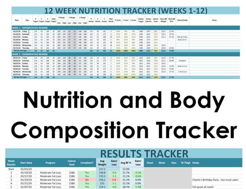 Nutrition and Body Composition Tracker Excel File Immediate | Etsy