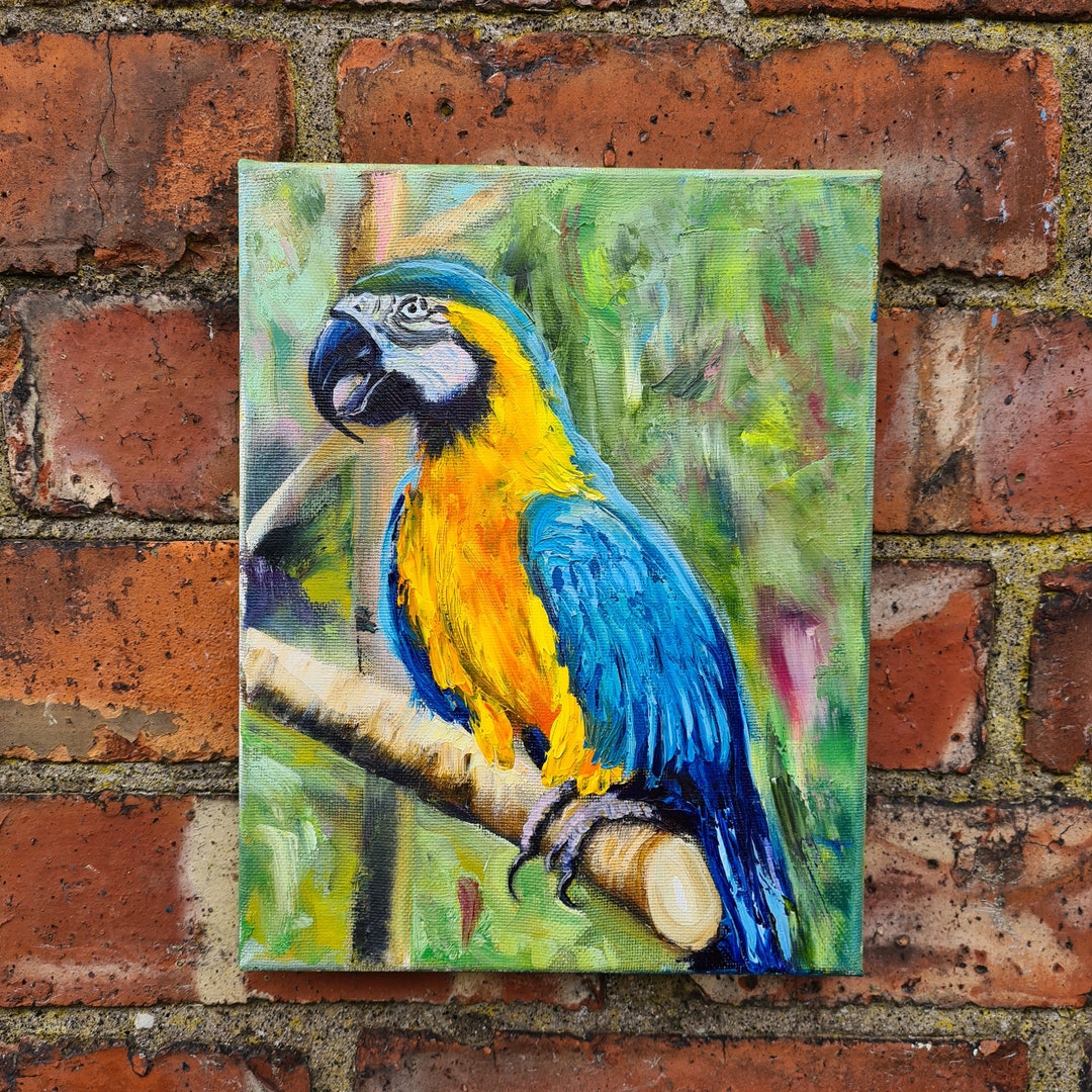 Parrot Oil Painting Original Oil Painting On Stretched Canvas 26cm X Il 1080xN.4034640212 Qt1c