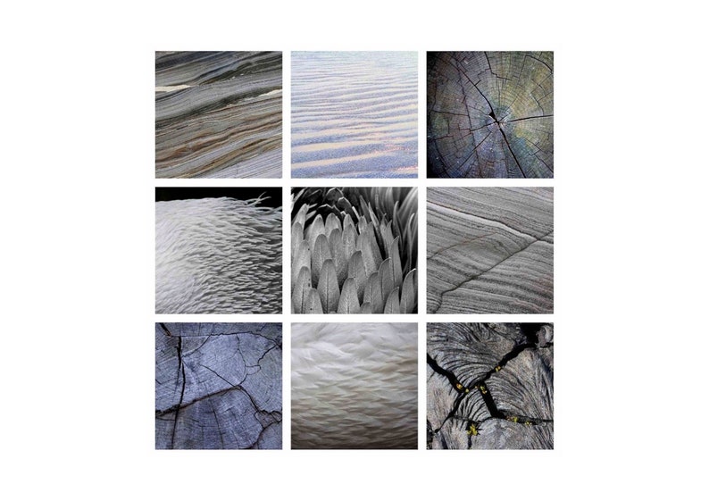 Set of 9 Prints Abstract Nature Photography House Warming image 0