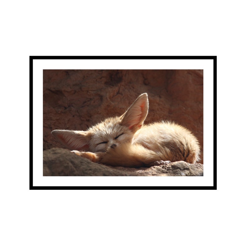 Fennec Fox Print Animal Nursery Decor Cute Wall Art for Kids image 0