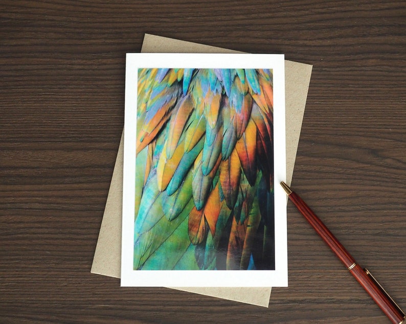 Birthday Card for Him 4x6 Feather Print on Eco-Friendly image 0