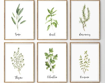 Herb print | Etsy