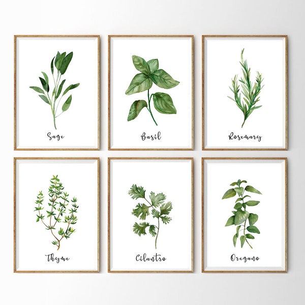 Herb Prints · Set of 9 · Herb Printables · Kitchen Printables · Watercolor Herb Set Wall Signs · Oregano Sage Rosemary Basil · Digital Files