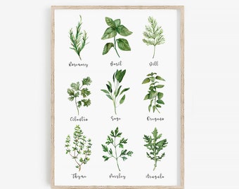 Herb Poster Print · Herb Printables · Kitchen Printables · Watercolor Herb Set Wall Signs · Oregano Sage Rosemary Basil · Digital Files