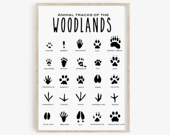Animal Tracks Print · Animal Tracks of the Woodland Printable · Animal Tracks Poster Download ·  Forest Animal Tracks Sign · Tracks Chart