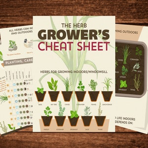 May include: A printable cheat sheet for growing herbs indoors and outdoors. The cheat sheet includes a list of herbs, tips for planting and care, and information about growing herbs indoors and outdoors.