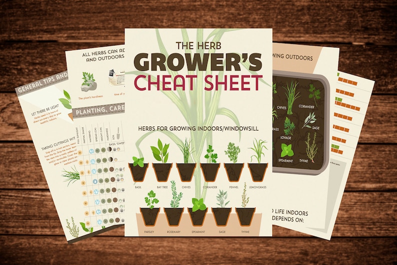 May include: A printable cheat sheet for growing herbs indoors and outdoors. The cheat sheet includes a list of herbs, tips for planting and care, and information about growing herbs indoors and outdoors.