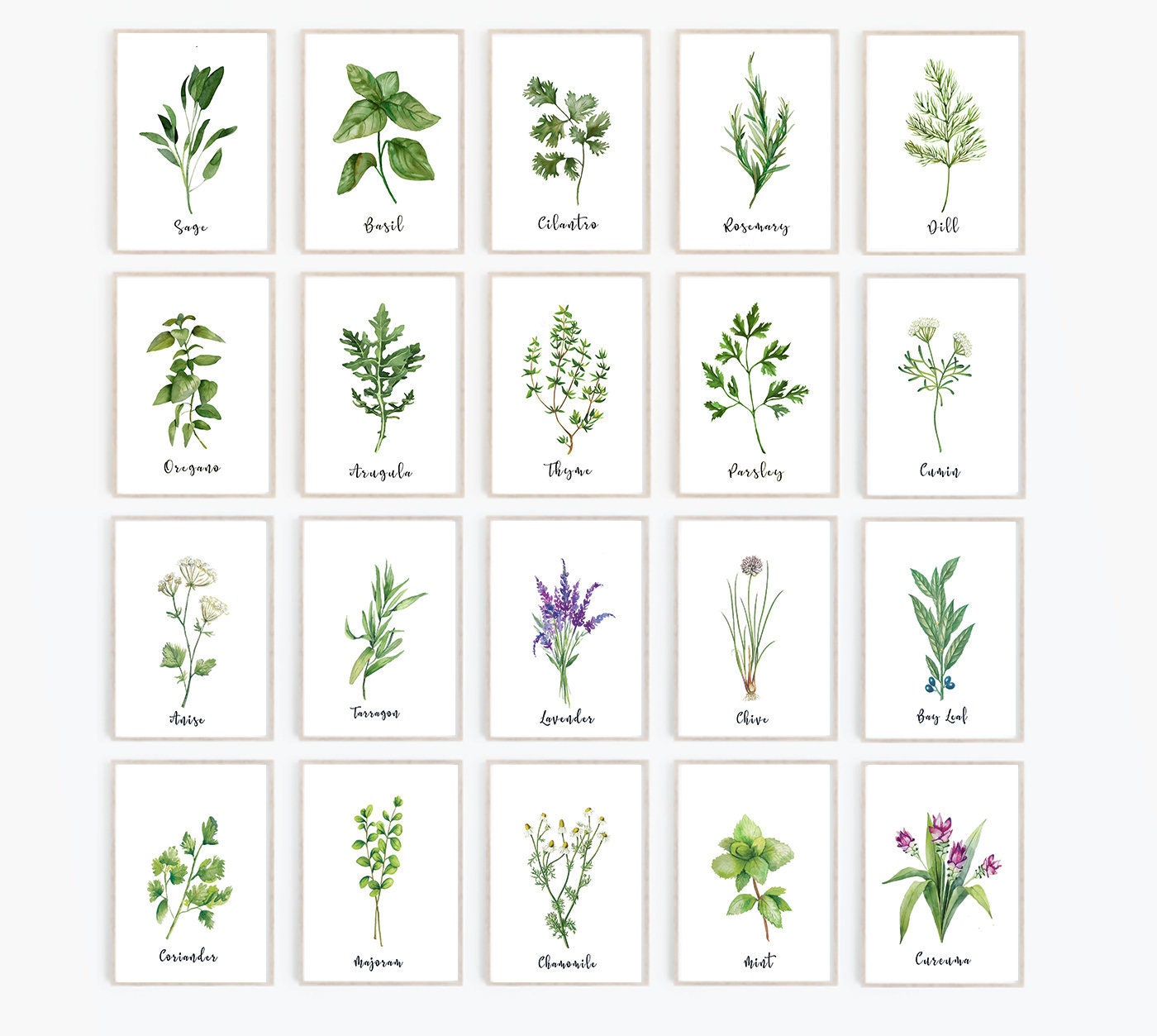 Herb Print Set of 20 Herb Printables Kitchen Printables Watercolor Herb Set Wall Signs, Oregano Sage Rosemary Basil Digital Files - Etsy herb-print-set-of-20-herb-printables-kitchen-printables-watercolor-herb-set-wall-signs-oregano-sage-rosemary-basil-digital-files-etsy