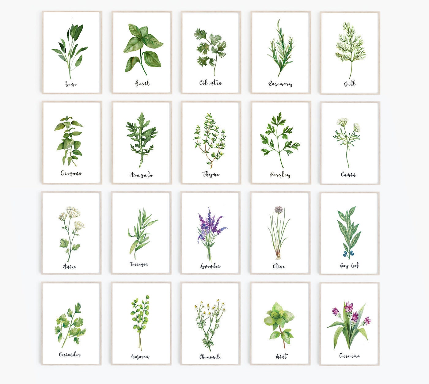 Herb Print Set of 20 Herb Printables Kitchen Printables - Etsy