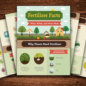 May include: A green and white infographic titled "Fertilizer Facts: What, When, and How Often" explains why plants need fertilizer. The infographic features illustrations of a house, a tree, a shovel, and a car.