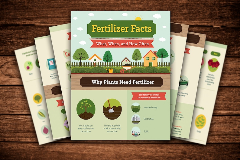 May include: A green and white infographic titled "Fertilizer Facts: What, When, and How Often" explains why plants need fertilizer. The infographic features illustrations of a house, a tree, a shovel, and a car.