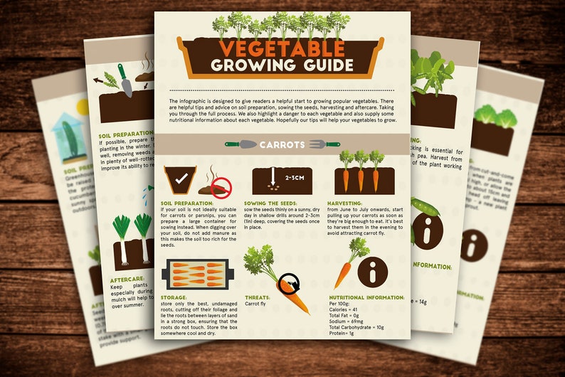 May include: A colorful infographic guide for growing carrots. The guide includes information on soil preparation, sowing seeds, harvesting, aftercare, storage, threats, and nutritional information. The guide also includes illustrations of carrots and gardening tools.