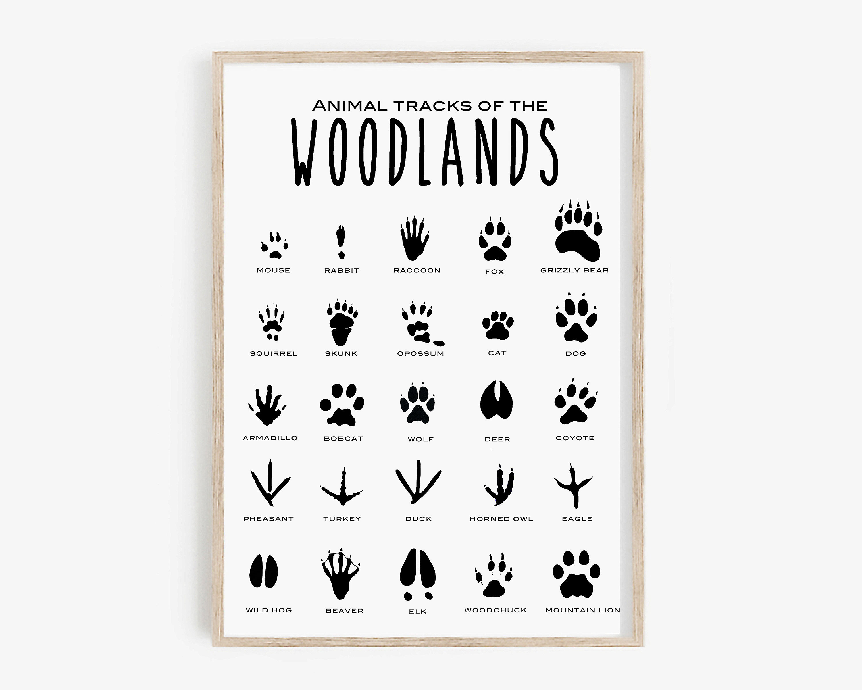 Animal Tracks Print Animal Tracks of the Woodland Printable Animal