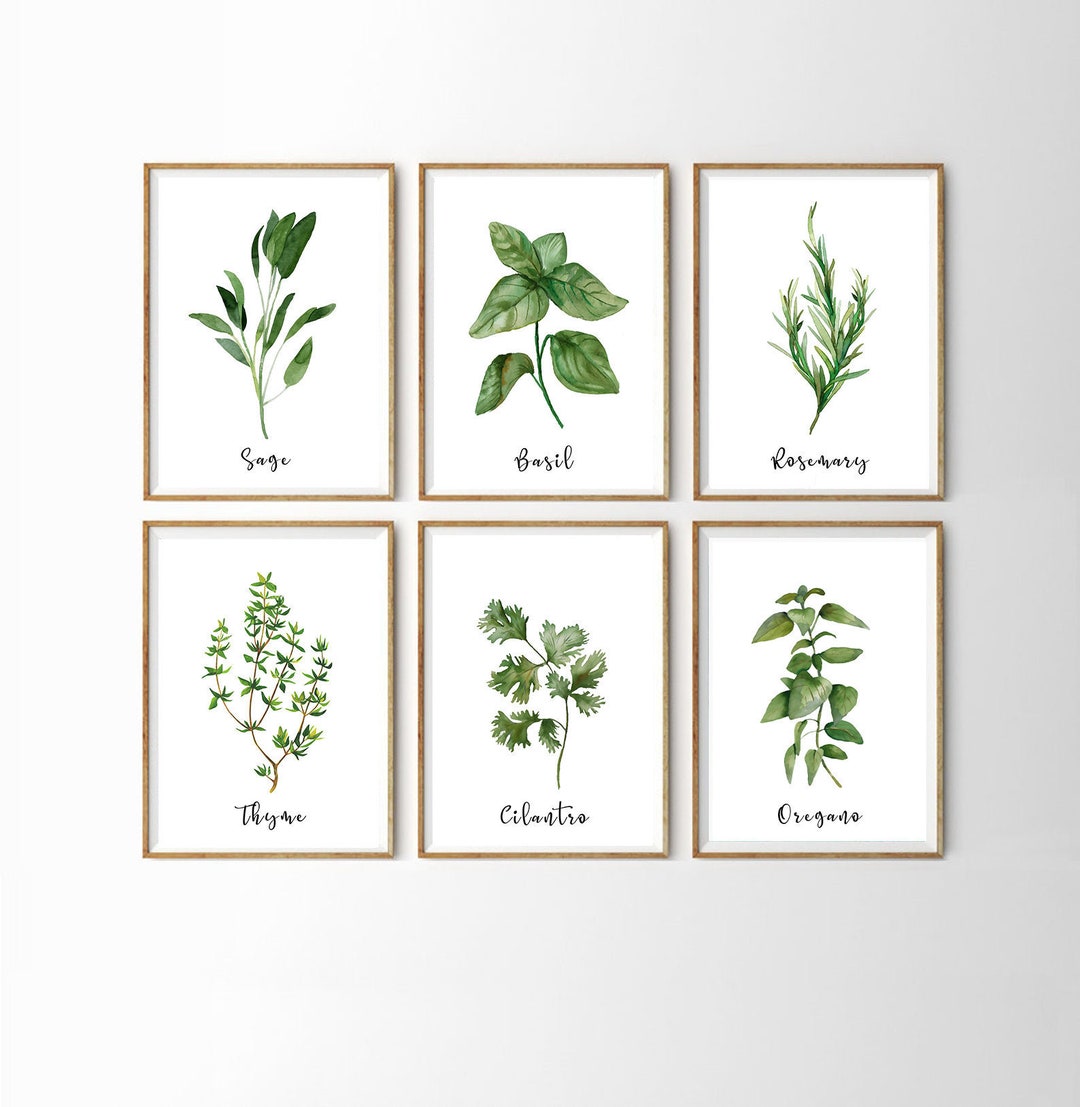 Herb Prints · Set of 9 · Herb Printables · Kitchen Printables ...