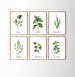 Herb Prints · Set of 9 · Herb Printables · Kitchen Printables · Watercolor Herb Set Wall Signs · Oregano Sage Rosemary Basil · Digital Files 