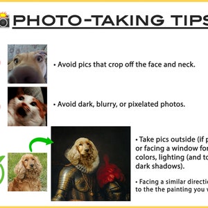 K&ouml;nnte beinhalten: Eine Grafik mit Tipps zum Fotografieren von Haustierportraits. Die Grafik zeigt drei Beispiele f&uuml;r Fotos: eines mit einem abgeschnittenen Hundegesicht, eines mit einem verschwommenen Foto und eines mit einem gut beleuchteten, klaren Foto eines Hundes. Die Grafik enth&auml;lt auch Text mit Tipps, wie man gute Fotos f&uuml;r Haustierportraits macht.