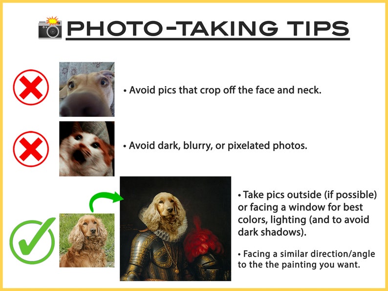 K&ouml;nnte beinhalten: Eine Grafik mit Tipps zum Fotografieren von Haustierportraits. Die Grafik zeigt drei Beispiele f&uuml;r Fotos: eines mit einem abgeschnittenen Hundegesicht, eines mit einem verschwommenen Foto und eines mit einem gut beleuchteten, klaren Foto eines Hundes. Die Grafik enth&auml;lt auch Text mit Tipps, wie man gute Fotos f&uuml;r Haustierportraits macht.