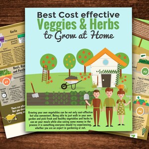 May include: A colorful infographic titled "Best Cost effective Veggies & Herbs to Grow at Home" with illustrations of a house, a garden, and people. The infographic lists the best vegetables and herbs to grow at home, including garlic, basil, rosemary, parsley, zucchini, and spinach.