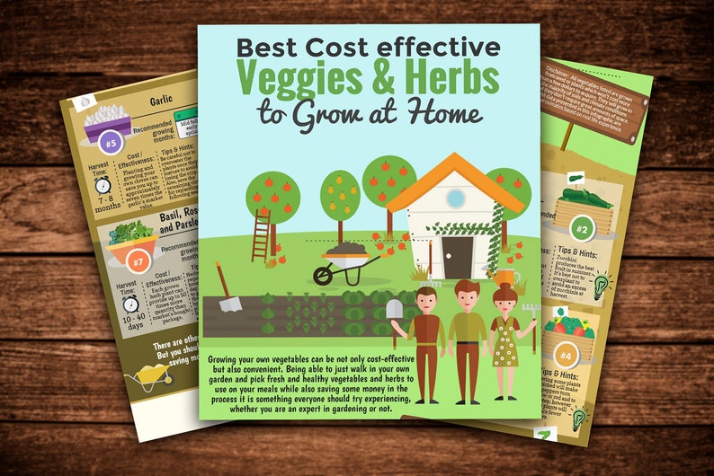 May include: A colorful infographic titled "Best Cost effective Veggies & Herbs to Grow at Home" with illustrations of a house, a garden, and people. The infographic lists the best vegetables and herbs to grow at home, including garlic, basil, rosemary, parsley, zucchini, and spinach.