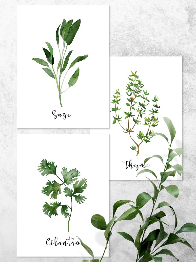 Herb Prints Set of 9 Herb Printables Kitchen Printables - Etsy