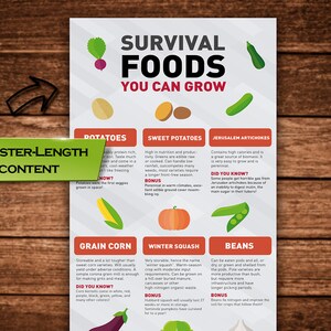 May include: A colorful infographic poster with the title "Survival Foods You Can Grow" lists different types of vegetables and their benefits. The poster features illustrations of potatoes, sweet potatoes, Jerusalem artichokes, grain corn, winter squash, and beans.
