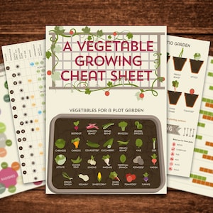 May include: A colorful infographic titled "A Vegetable Growing Cheat Sheet" with a list of vegetables for a plot garden, including beets, broccoli, Brussels sprouts, cabbage, carrots, courgettes, cucumbers, lettuce, onions, peppers, potatoes, radishes, spring onions, squash, sweetcorn, Swiss chard, tomatoes, and turnips.