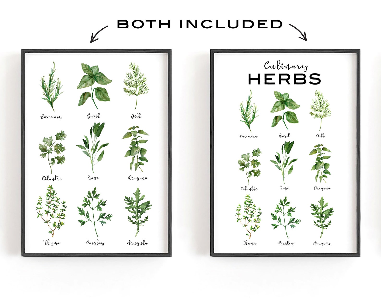 Herb Poster Print Herb Printables Kitchen Printables Etsy